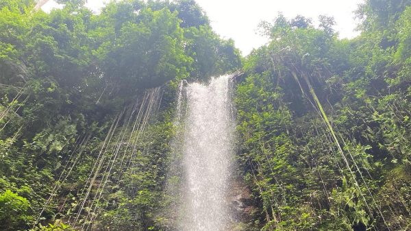 Asenema Waterfalls in Ghana