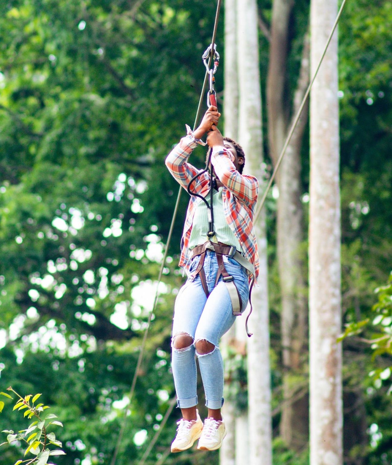 Top 9 Things To Do At Bunso Eco Park