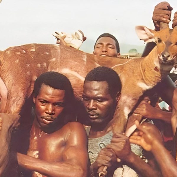 10 Facts About Ghana's Aboakyer Festival You Need to Know