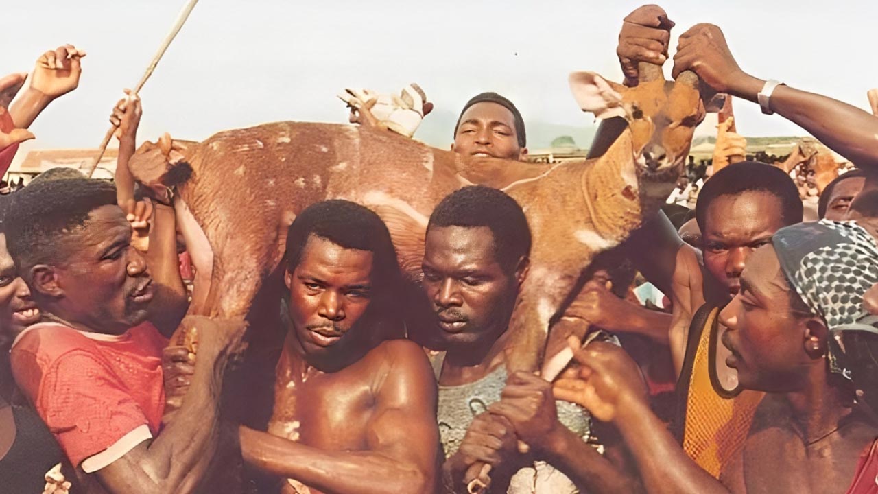 10 Facts About Ghana's Aboakyer Festival You Need to Know