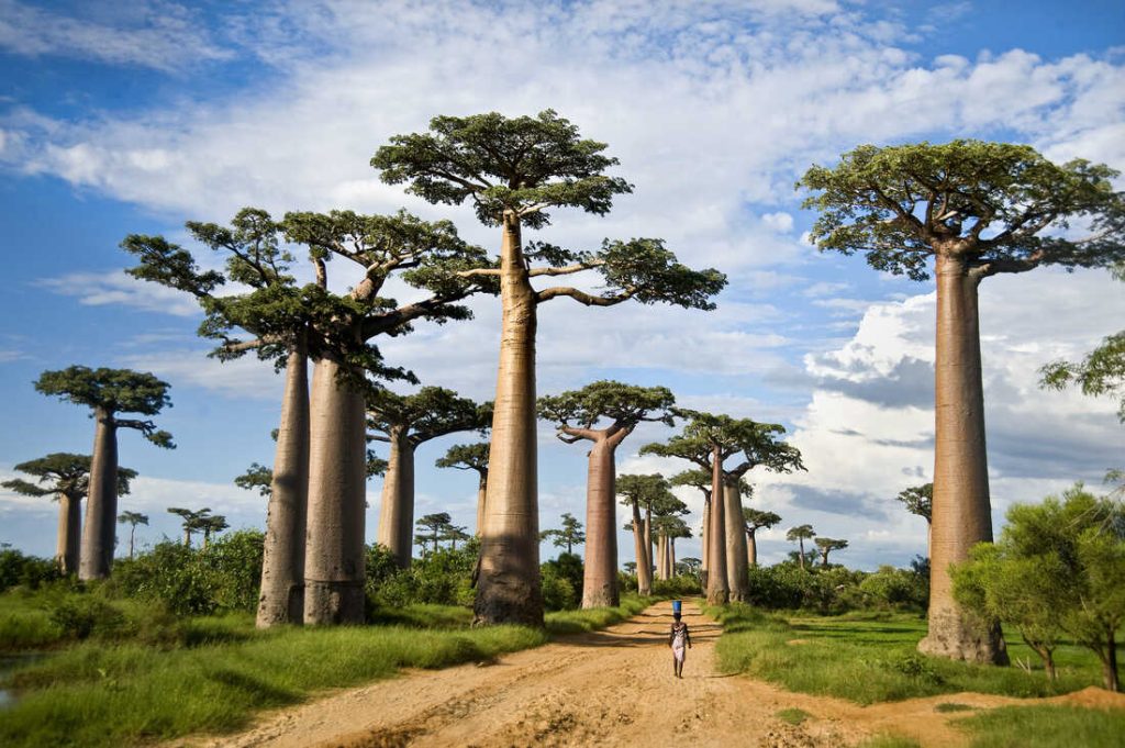 9 Amazing Things About Central African Republic