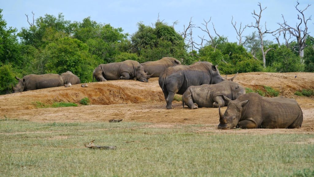 8 Facts About Eswatini You Should Know