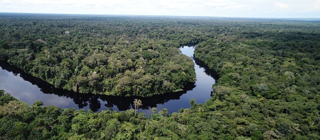 8 Fascinating Facts About Republic of the Congo